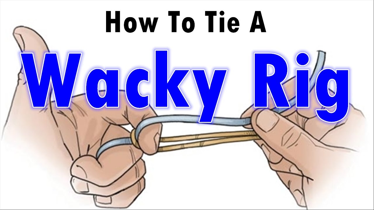 How to Tie A Fishing Rig/ How To Tie A Wacky Rig 