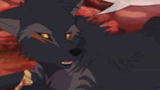 Whitewind, Swiftkill, and Nightrun tryout