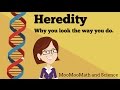 Heredity and Traits The Science Behind Family Resemblance
