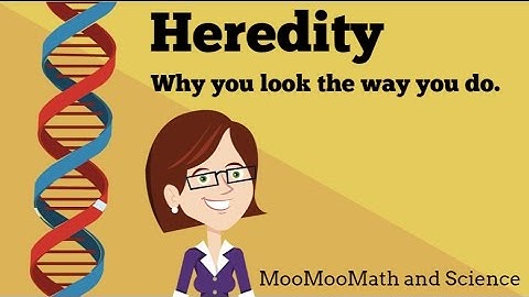 Heredity- Why you look the way you do?