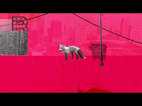 Ruby Run - Możesz iść