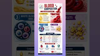 blood circulation | Blood composition | Blood grouping