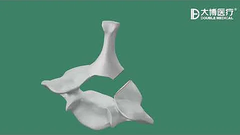 Double Medical Headless Compression Screw I