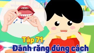 Kỹ Năng Sống Cho Bé Đánh Răng Đúng Cách - Tập 71