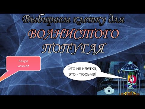 Какую клетку выбрать для волнистого попугая. Выбираем клетку.