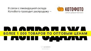 Распродажа по оптовым ценам в КотоФото!