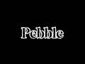 Pebble Mockumentary