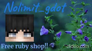Free ruby shop (Minecraft.io)