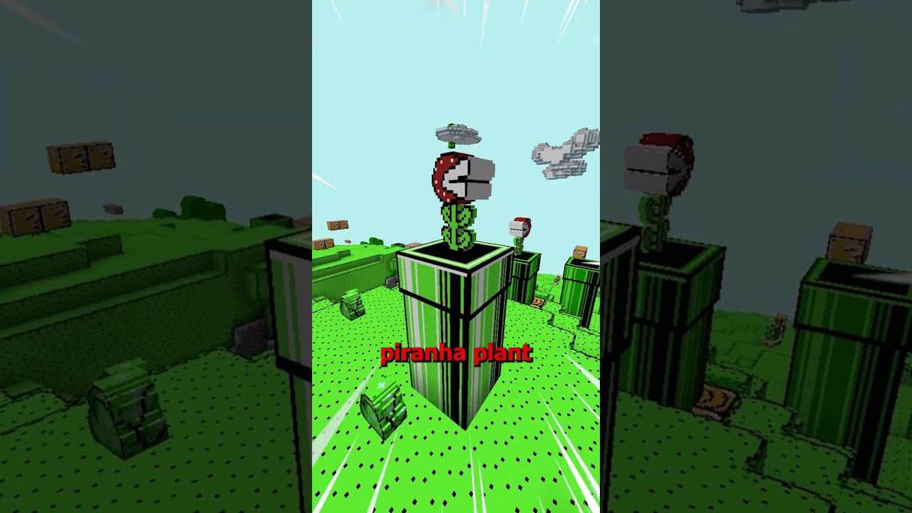 what if minecraft had a Super Mario realm?