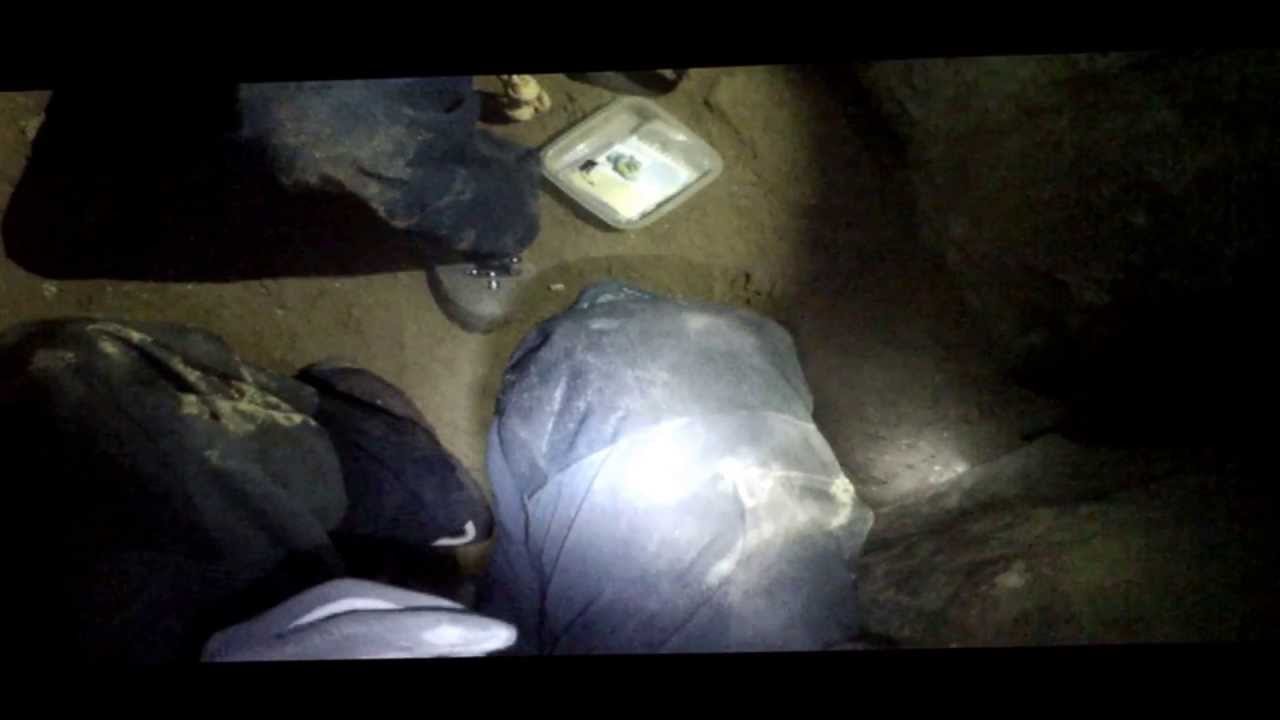 Salamander Cave Luxemburg