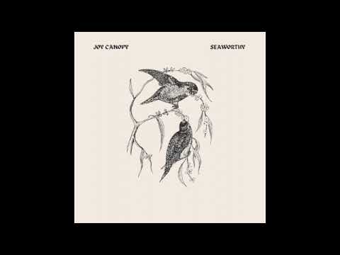 Joy Canopy - Maelstrom