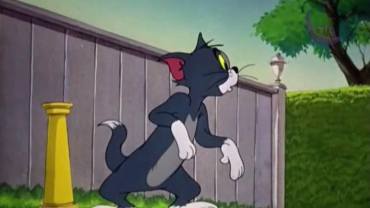 Tom And Jerry Little Runaway Part 1 Tom and Jerry Little Runaway - YouTube