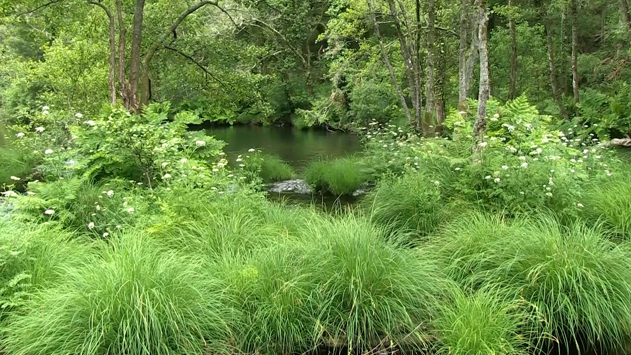 COVELO  (PUEBLO A PUEBLO)