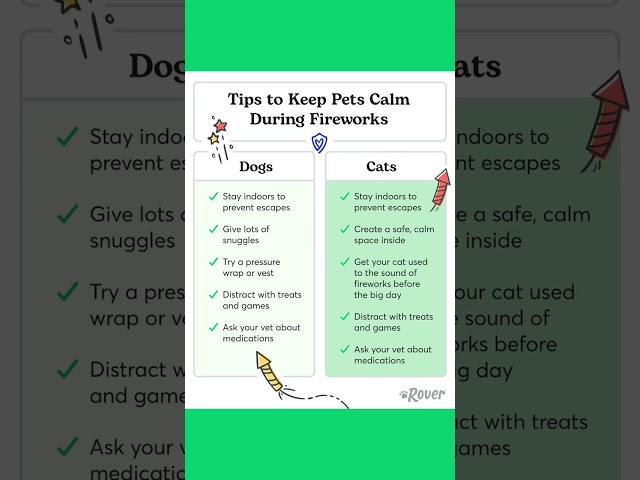 Does your dog or cat hate fireworks? Here