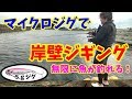 美味しいカマスが５ｇのジグで無限に釣れる！