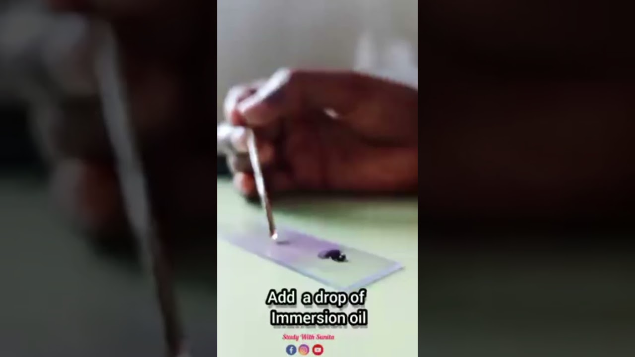 Step by step leishman's  stain practical demonstration 