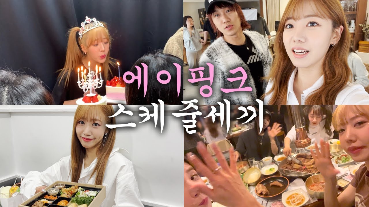 에이핑크(Apink) 스케줄세끼💜 에이핑크 콘서트 | 남주 생일파티 | 음악방송 대기실 현장 | 서포트 도시락 | 다이어트맛집