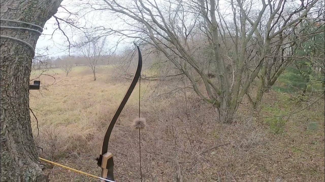 Did a buck duck my arrow at 12 yards?! Hunting with a recurve bow