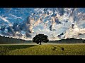 Relaxing music to chillout to daily no copyrights royalty free soothing music 432hz