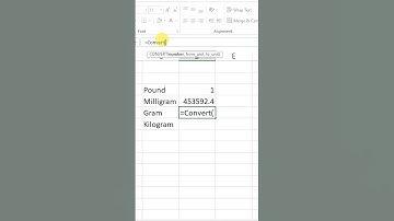 Convert Pound into Gram Microsoft Excel #msexcel #gram #excel #shorts