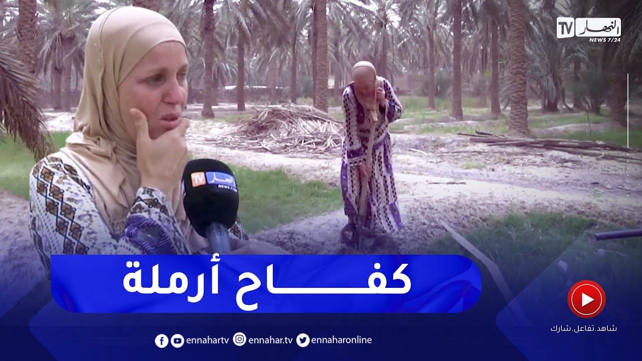 بسكرة: السيدة زيتوني ..  قصة معاناة أرملة في الحفاظ على أرض فلاحية ورثتها عن زوجها