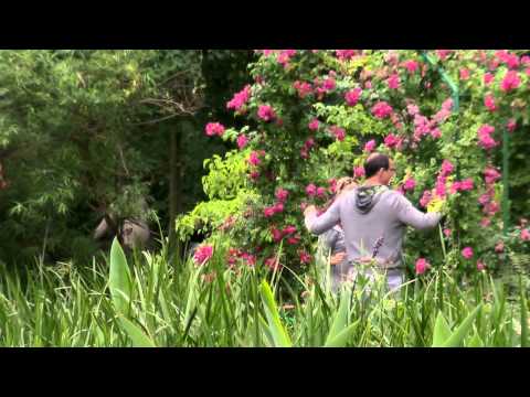 Video: Lei Hjemmet Til Claude Monet På Airbnb