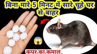 बिना दवाई नींबू से चूहे भगाने का घरेलू तरीका 😱 rid of mouse/ chuhe bhagane ka tarika/kitchen tips