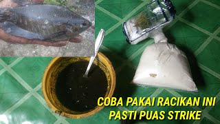 CARA MEMBUAT UMPAN LUMUT PALING JITU