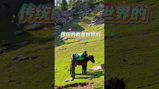 哈萨克族传统打包方式🐎劳动人民的智慧结晶#游牧生活 #旅行推荐官 #哈萨克族民俗文化 #哈萨克族 #劳动人民的智慧 #xinjiang #mountains #新疆
