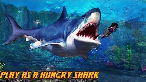 Shark.io game part 1 - DaNi MC Gaming