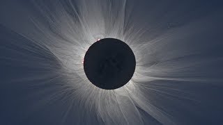 Famous Scientists plan for rare US total solar eclipse Profile