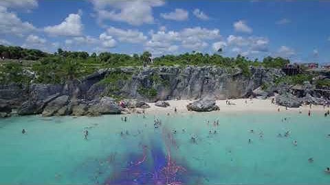 Korea South Flag Butterfly Gorgeous Particle Light Trailing Flying Transtion V4 | Motion Graphic...