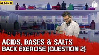 Question 2 | Back Exercise | Chapter 2 | Class 10 | PuStack