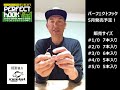 ドリームエクスプレスルアーズ「パーフェクトフック」説明紹介！