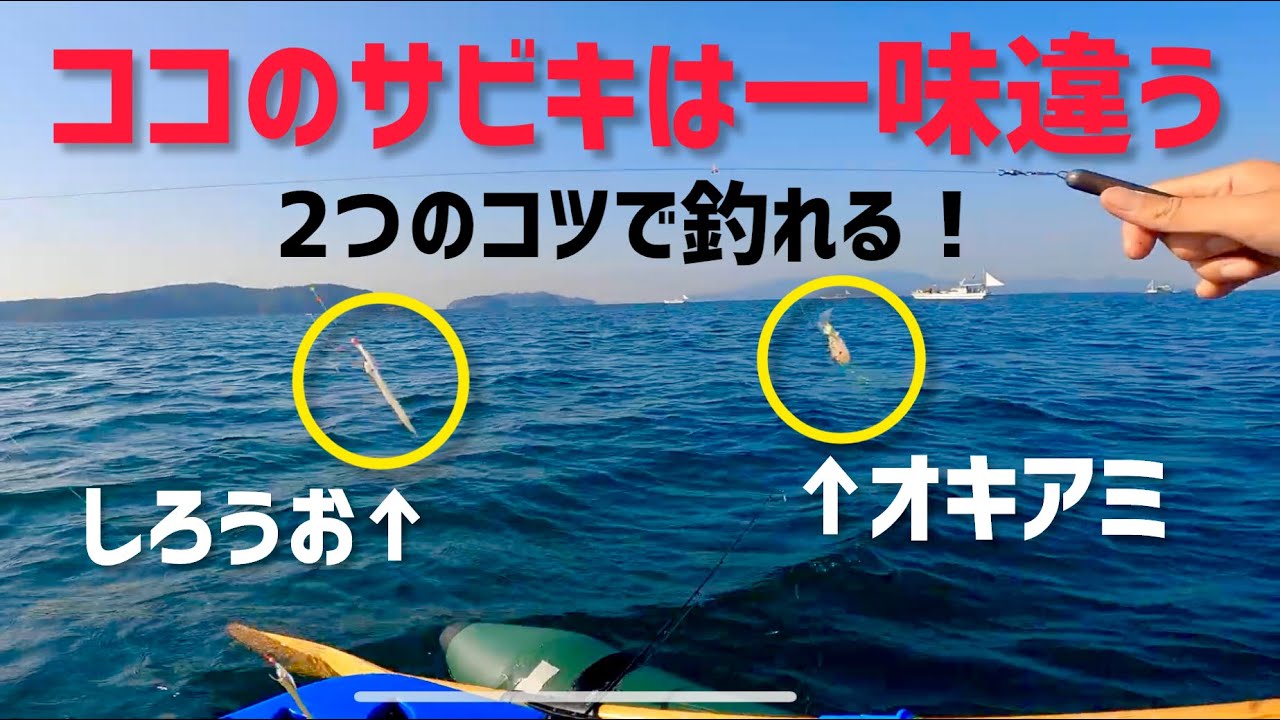 [和歌山県加太]水深60mの沖でサビキ釣り、2つのことをするだけで釣果が激変