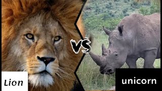 الاسد ضد وحيد القرن من سيفوز؟/اسرار عالم الحيوان