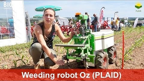 Oz, the weeding robot for smaller vegetable producers