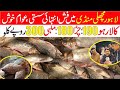 Lahore Fish Market Latest Rates November 2021 | لاہور مچھلی منڈی