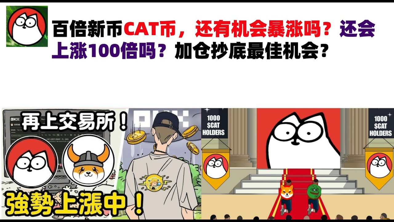 百倍新币CAT币，还有机会暴涨吗？还会上涨100倍吗？加仓抄底最佳机会？CAT币|CAT币行情分析！ - YouTube