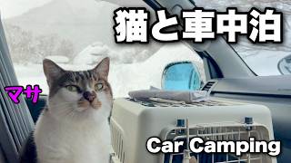 Kampeertrip met de auto en een kat | Overal sneeuw