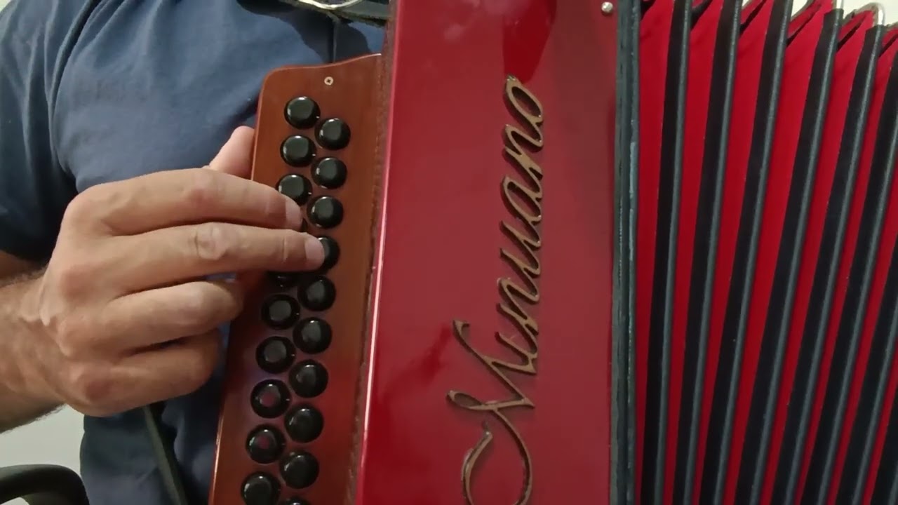 VIDEO AULA GAITA PONTO (MISSIONEIRO) Tio Bilia