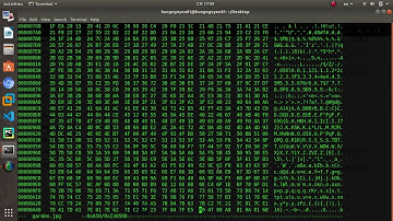 picoCTF - my first time with "Glory of the garden" resolved !