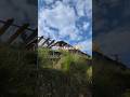 Hidden Stay in Kanatal 😳 | 7200 ft Mountain Cottage 🏔️✨