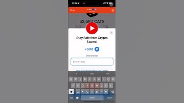 Stay Safe from Crypto Scams! Cats code