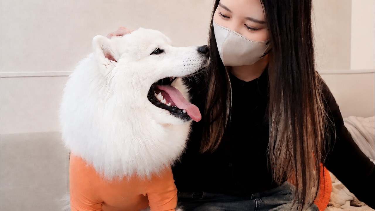 Puppy's Smile When She Reunites With Mom After Her Surgery Melted