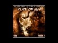 Reggae  culture mix 2013 chronixx lutan fyah ioctane  more