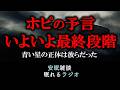 【ホピ族の予言】イラン戦争がもたらす新世界秩序/青い光の正体(眠れるラジオ 都市伝説 作業用)安眠研究所 # 108 #UFO情報開示
