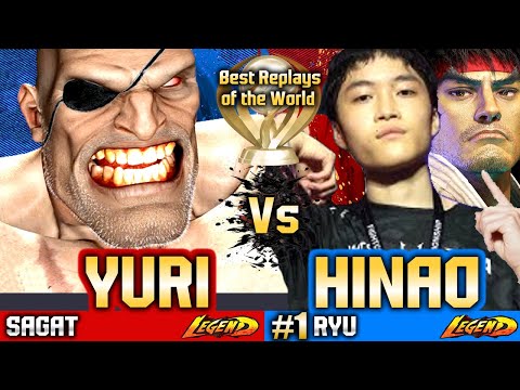 🔥SF6 Ryu (HINAO vs Yuri)🔥Sagat ▰ Street Fighter 6 Gameplay High Level