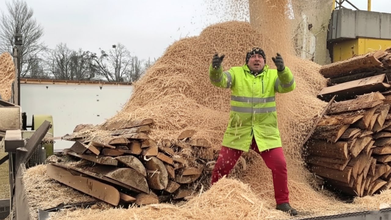 MEGA Professional Wood Chipping 24/7