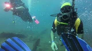 Diving in Soussa to Explore the Hidden World War 2 Wreck Site, Tunisia